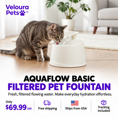 AquaFlow Basic