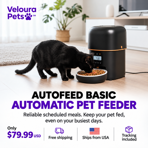 AutoFeed Basic