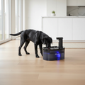 Veloura AquaFlow Wireless lifestyle shot with dog