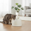 Veloura AquaFlow Basic lifestyle shot with cat