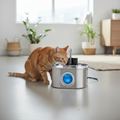Veloura Pet Water Fountain lifestyle shot with cat